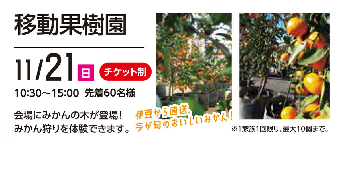 21年11月21日 日 移動果樹園 西東京 小平住宅公園