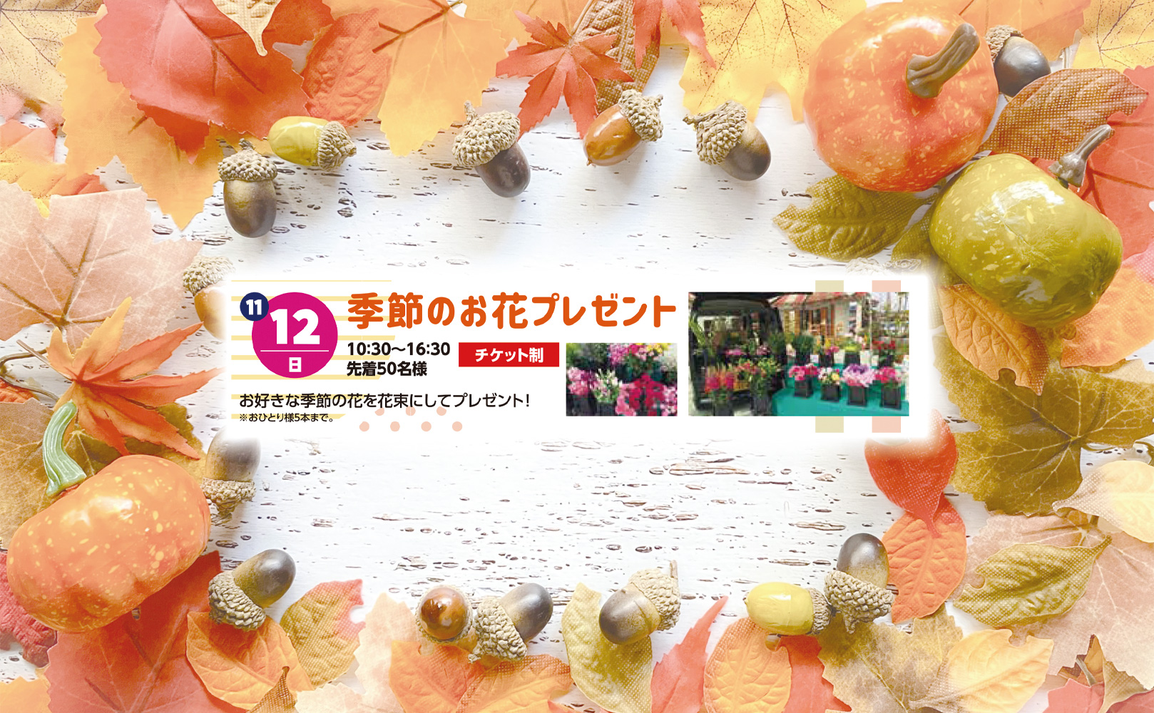 2023年11月12日(日)】季節のお花プレゼント | 西東京・小平住宅公園