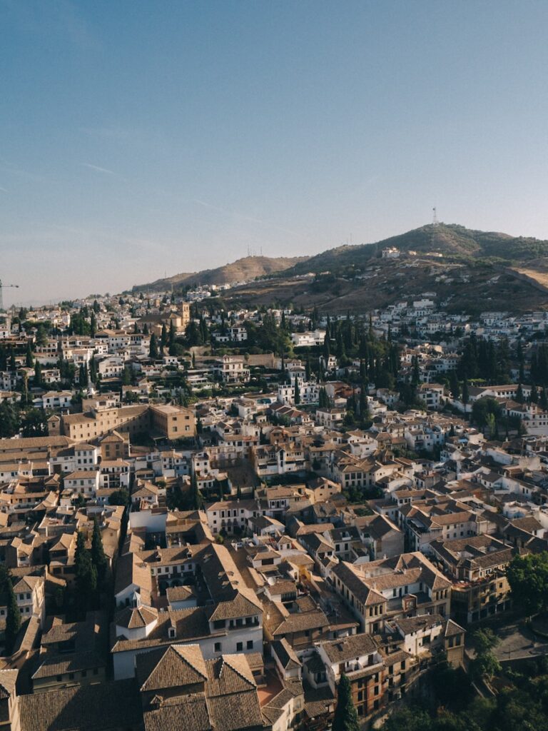 aerial photography of city with brown roof buildings